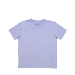 Arctic color option