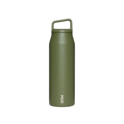 Evergreen color option