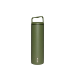 Evergreen color option