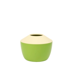 Green color option